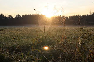 päikesetõus Jõgeharal