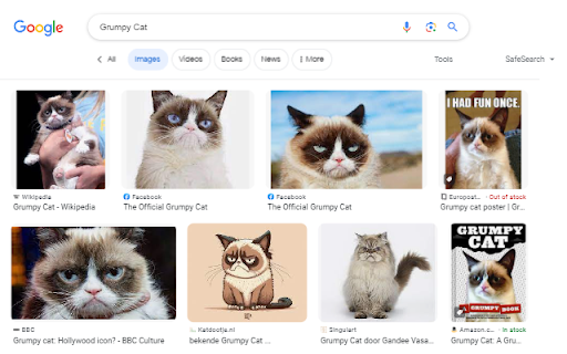 Quick Image Search