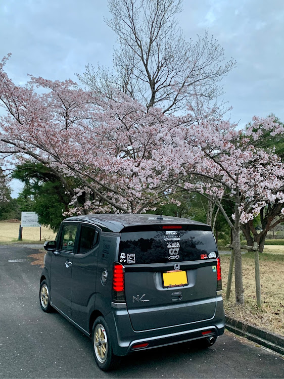 NボックススラッシュのN/on・異車種コラボ・桜と愛車に関するカスタム事例の投稿画像8枚目