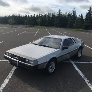 DMC-12