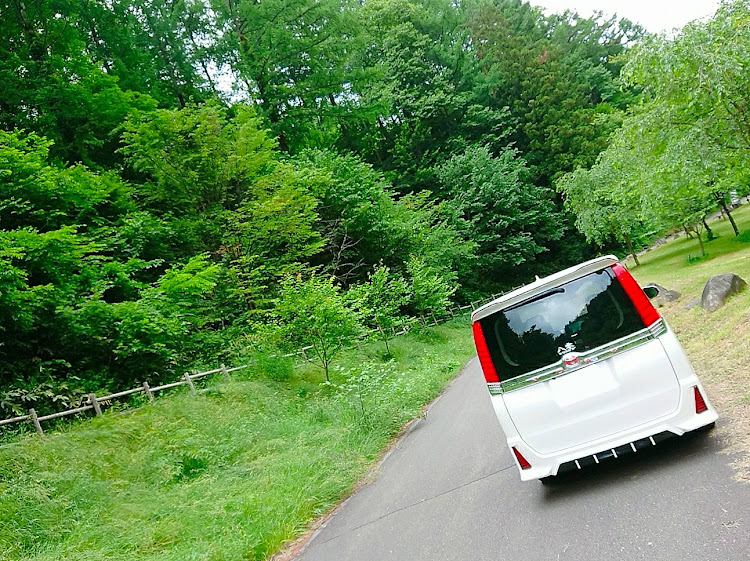 ヴォクシーの自然×愛車・癒やしのグリーン・マイナスイオン浴びまくり・梅雨明けまだか・熊は出て来なくていい！に関するカスタム事例の投稿画像4枚目