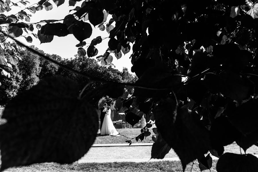 Fotografo di matrimoni Pavel Salnikov (pavelsalnikov). Foto del 11 ottobre 2018