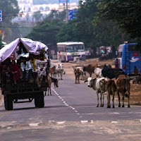 Strada indiana di 