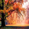 Item logo image for Fall Scenery Theme