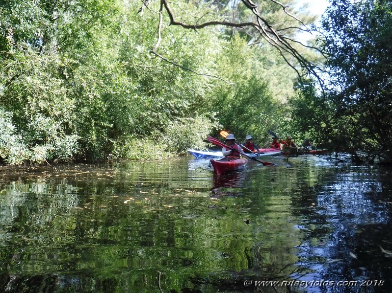 Kayak río Palmones