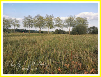 terrain à Castelnau d'Auzan Labarrère (32)