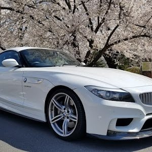 Z4 E89