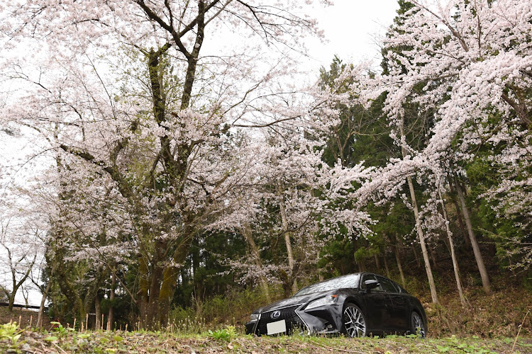 GSのGS・AWL10・桜とコラボ・桜トンネルに関するカスタム事例の投稿画像4枚目