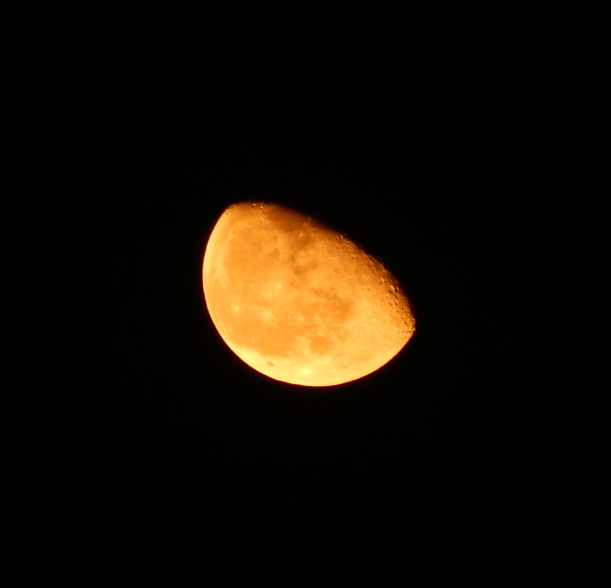 Circondati da Nero di peppenyc