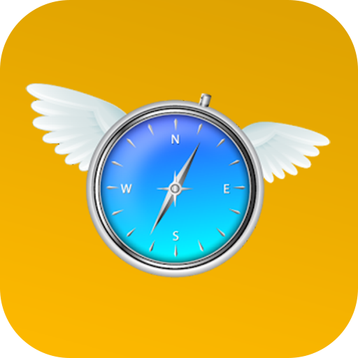 Fly GPS Pro