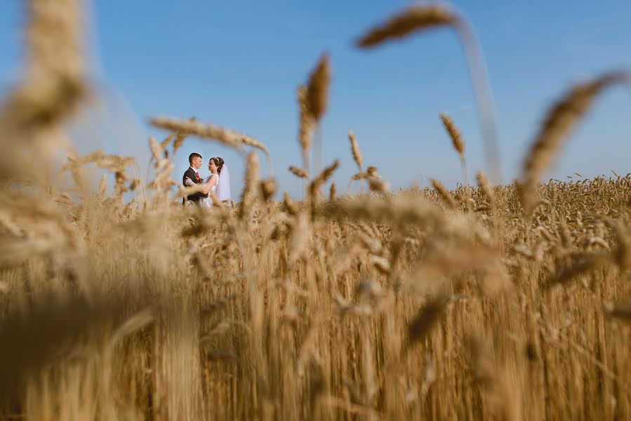 Wedding photographer Dmitro Lisyuk (dimontito). Photo of 28 August 2015