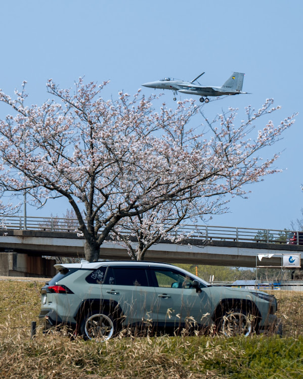 RAV4のいつもいいね＆コメントありがとうございます🥰・RAV4adventureHEV・workエモーションT5R2P・サクラと愛車・TEAMトムジェリRAV4分隊に関するカスタム事例の投稿画像4枚目