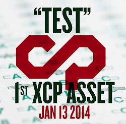 TEST - 1st COUNTERPARTY ASSET - JAN 13 2014