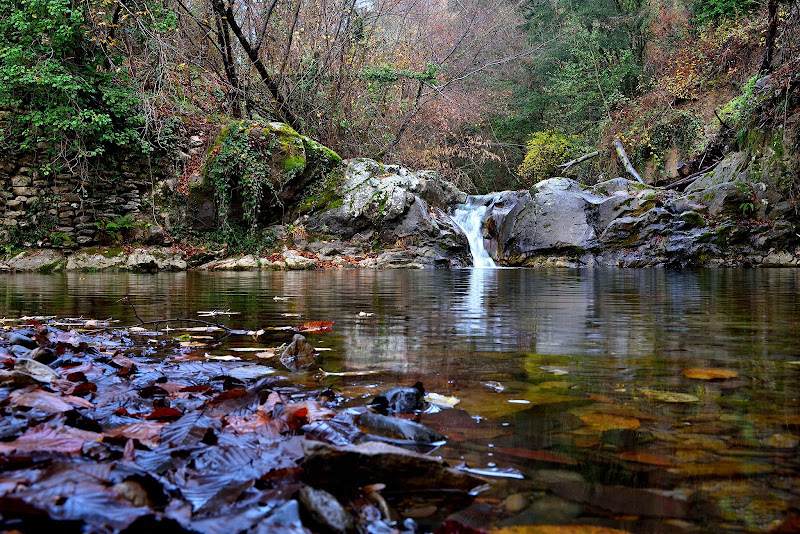 Le foglie nel torrente di Ocram