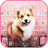 Cute Corgi Keyboard Theme icon