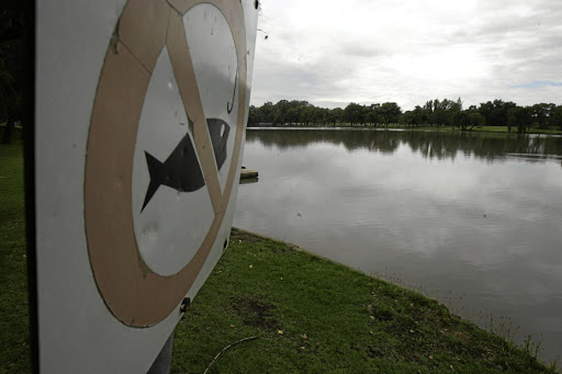 Toxic mix: Litter, algae and water hyacinth are seen near the wall of Hartbeespoort Dam in the North-West. The Vaal River is similarly choking under pollution. Picture: DANIEL BORN/THE TIMES