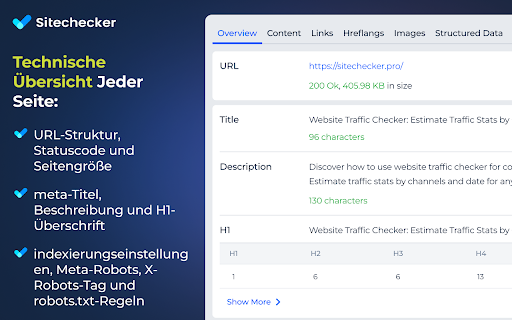 SEO Website Analyse