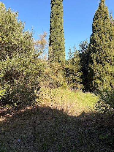 Land 4