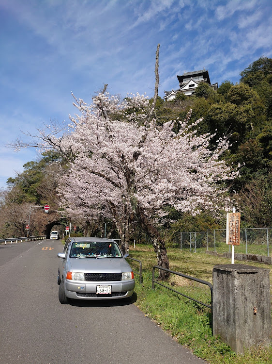 の投稿画像1枚目