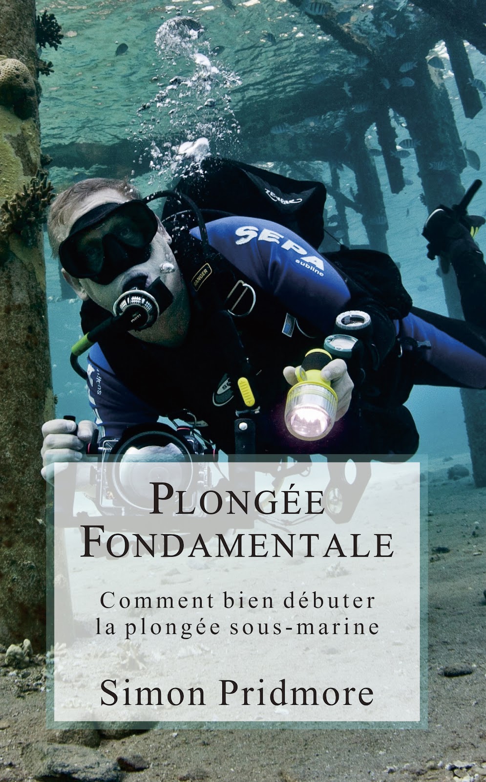 Guide complet de la plongée sous-marine