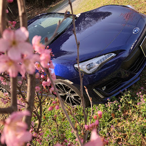 BRZ ZC6