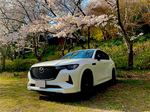 KDB17さんのCX-60KH3R3Pの画像