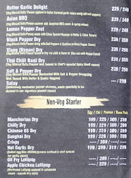 Sizzling Spices menu 1