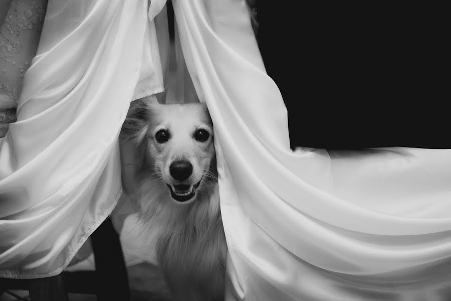 Photographe de mariage Ondrej Cechvala (cechvala). Photo du 16 février 2021