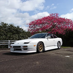 180SX RPS13