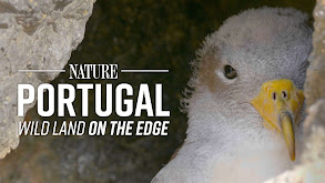Portugal: Wild Land on the Edge thumbnail