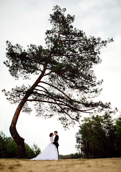 Fotografo di matrimoni Mark Sobchuk (marksodschuk). Foto del 27 novembre 2015