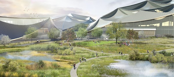 3D rendering of Google offices at Bay View, people walking the adjacent trails, along with ponds, trees and birds.
