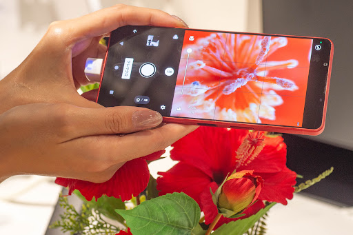 Xperia 1 VI のテレマクロで花のオブジェを撮影する様子