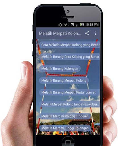 Melatih Merpati Kolong Juara
