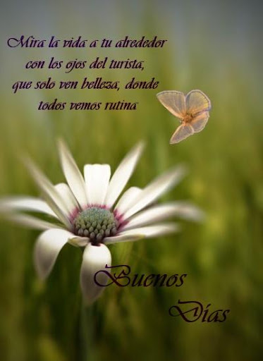 Buenos días. Lindos Saludos