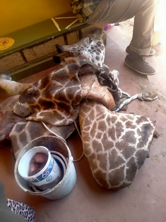 Some of the game products poduced at the Kangundo Law Courts as exhibits on January 29.