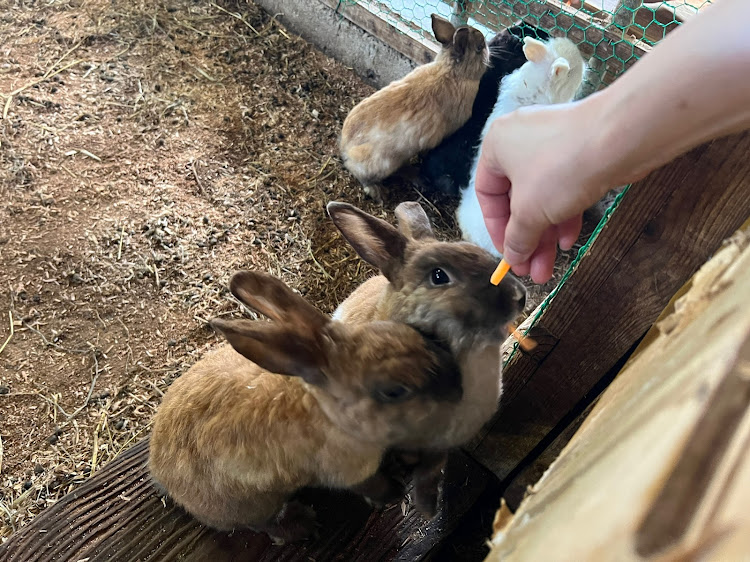 たかむらさんが投稿した土田牧場・乗り換えました？・美味・癒された・満足に関するカスタム事例の投稿画像5枚目