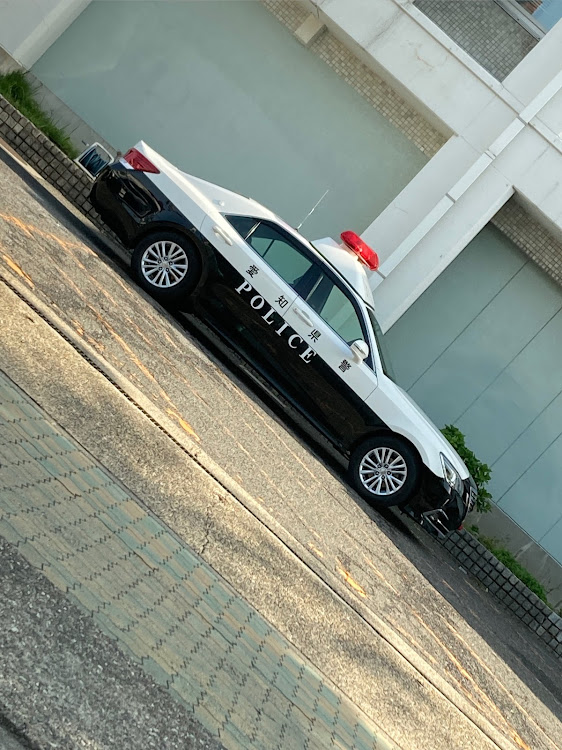 プリウスαのスモークテール・柿本改 GTbox 06&s・プリウス‪α‬好きな人と繋がりたい・パトカーは白黒パイセン・ガーニッシュ加工に関するカスタム事例の投稿画像2枚目