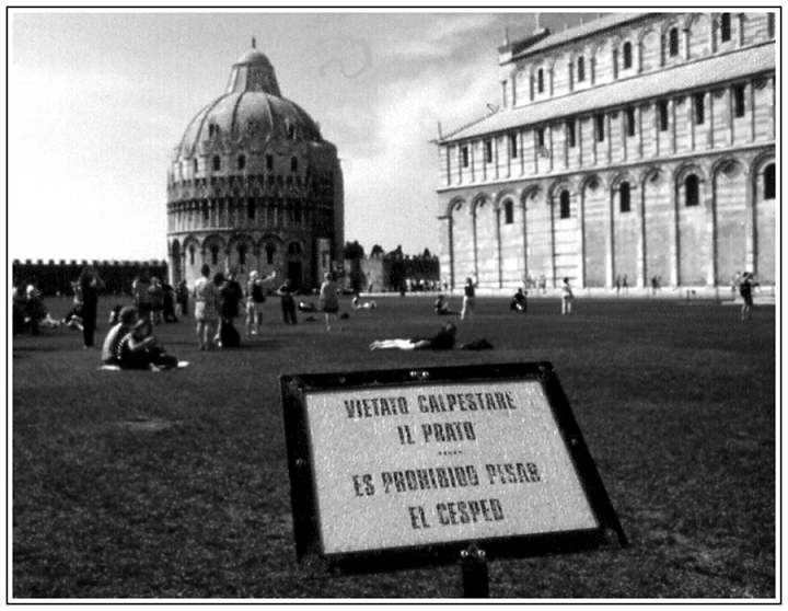 Inutile attenzione ... di Pierluigi Terzoli