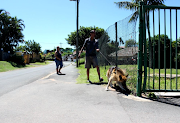 Everyone Pierce and his dog Razor, a German Shepherd, arrive at the rabies vaccination site in Sydenham on Tuesday.