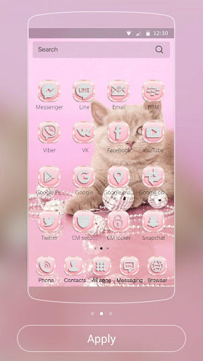 Pink Kitty Theme Rose Gold Kitty