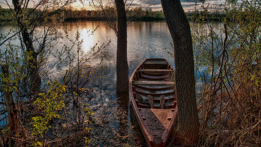 On the river