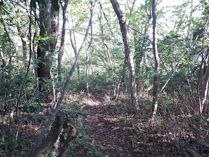 登山道は北向きに