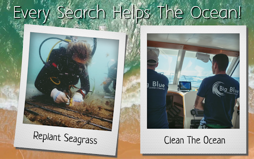 Clean The Ocean 