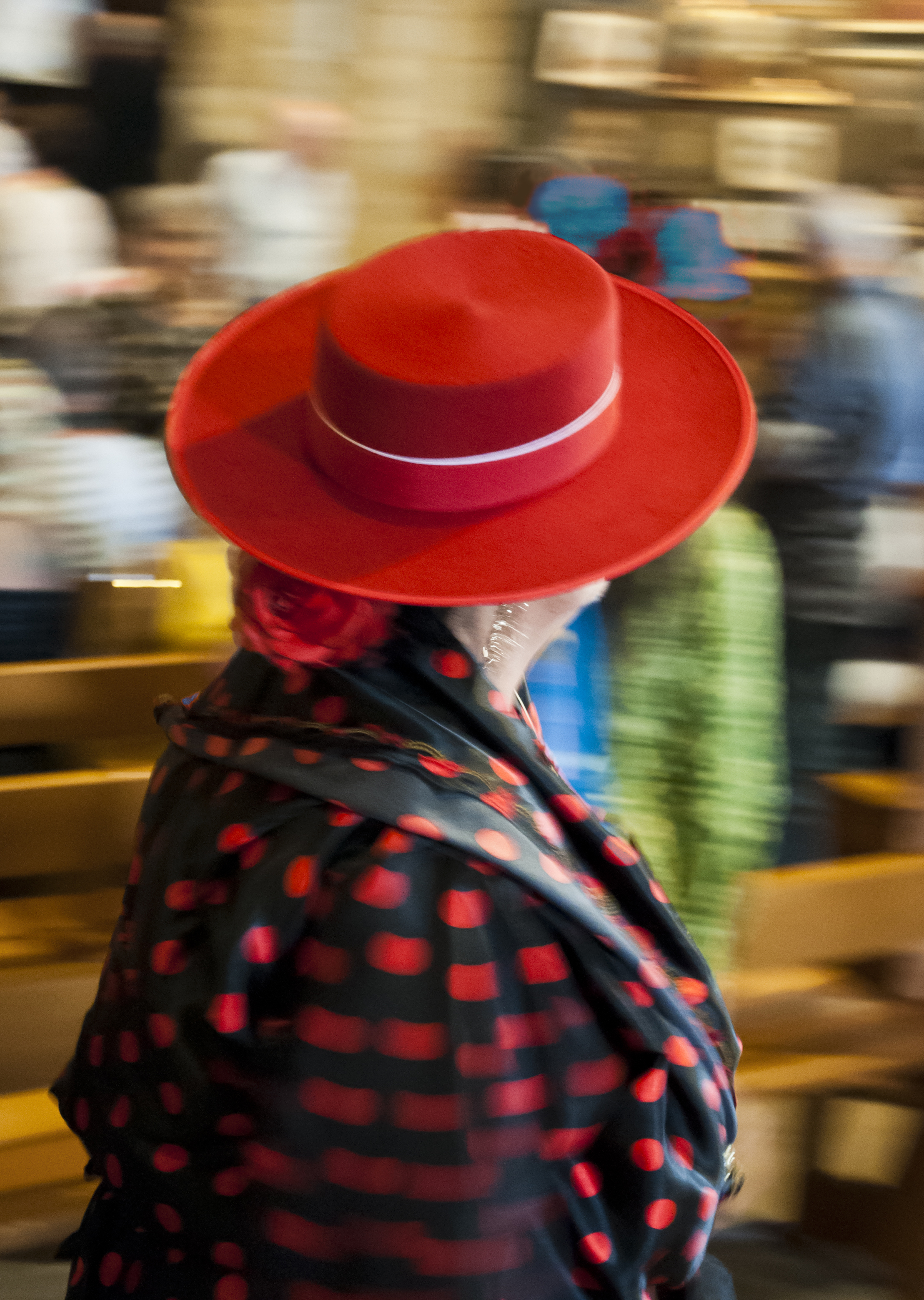 Dama col Cappellino di Daniele Bertoletti