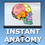 Head and Neck Lectures