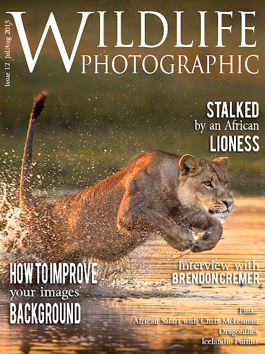 Wildlife Photographic Magazine