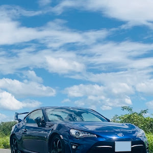 86 ZN6