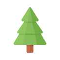 Evergreen