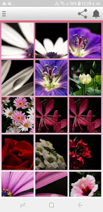 imagenes de flores 9.8 APK + Мод (Unlimited money) за Android